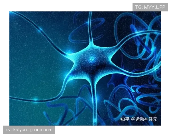 关注运动医疗健康热点的专业新闻平台，运动医学科普文章