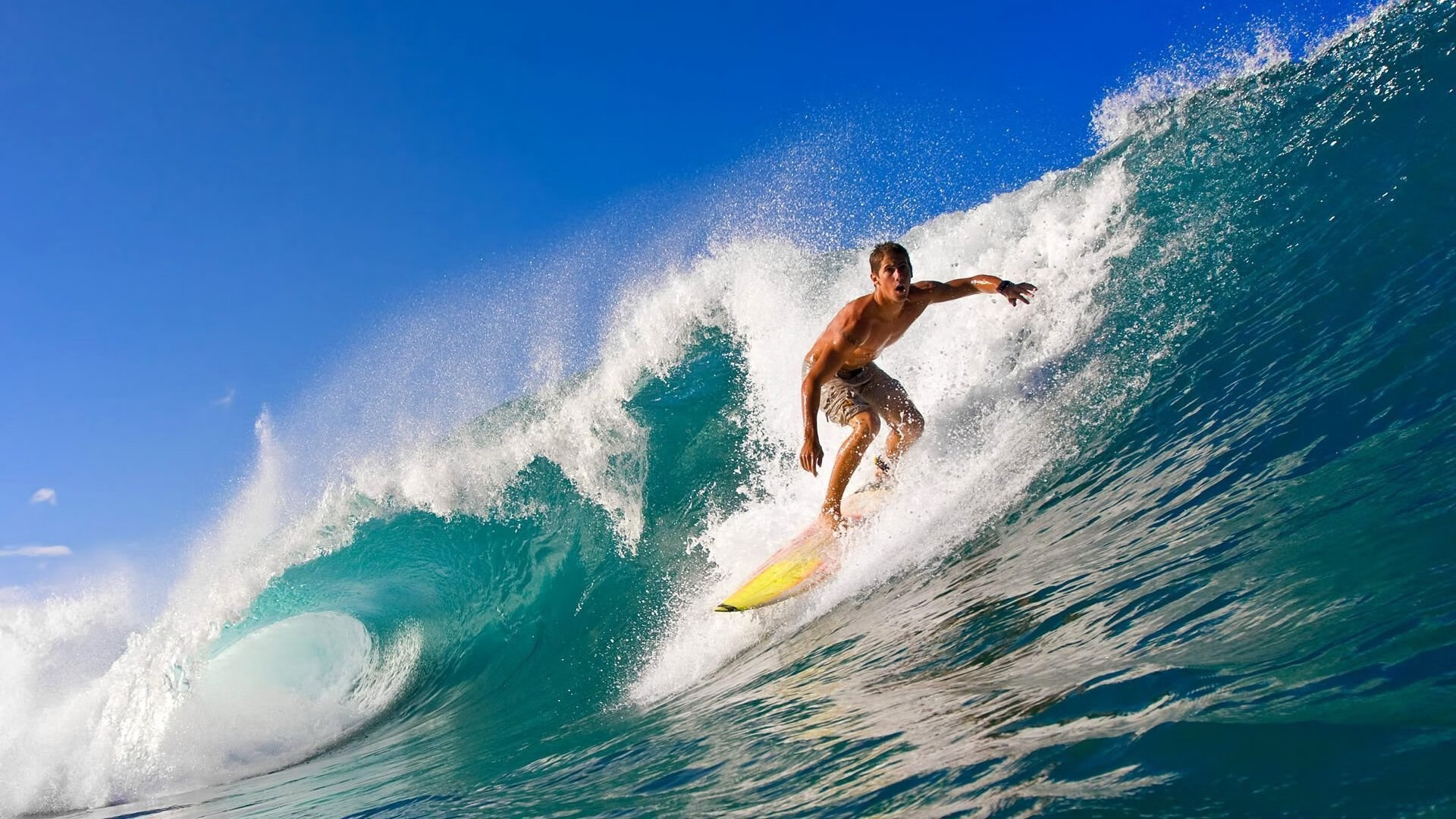 新西兰的节奏感太强,打得干净利落,“新西兰”